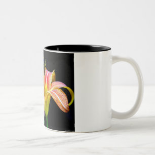 Caneca De Café Em Dois Tons Lindo Dia de Lírio II Vestuário e Presentes