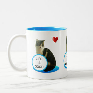 Caneca De Café Em Dois Tons Lindo Gato Tabby & Coração