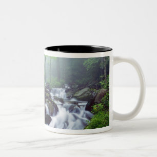 Caneca De Café Em Dois Tons Linn Cove Creek em cascata através da névoa