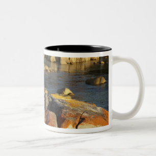 Caneca De Café Em Dois Tons Líquen Laranja em Rochas, Binalong Bay, Baía de