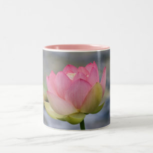 Caneca De Café Em Dois Tons Lírio de água cor-de-rosa