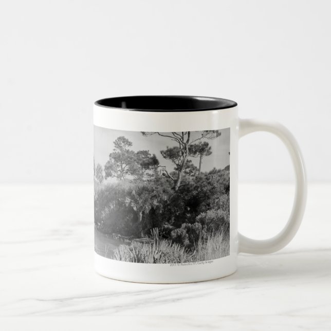Caneca De Café Em Dois Tons Litoral (Direita)