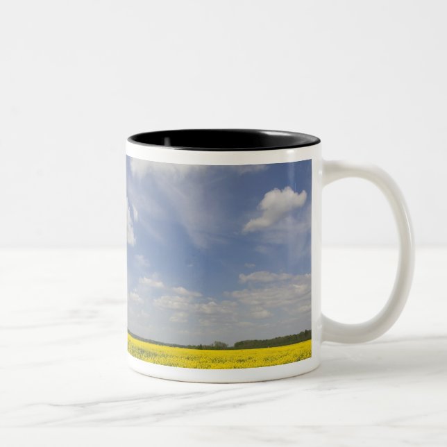 Caneca De Café Em Dois Tons Lituânia, Lituânia Central, Joniskis, campo de (Direita)