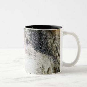 Caneca De Café Em Dois Tons Lobo