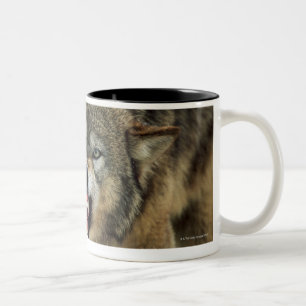 Caneca De Café Em Dois Tons Lobo cinzento Snarling