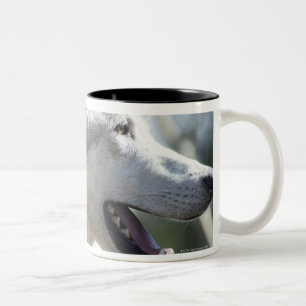 Caneca De Café Em Dois Tons Lobo em Yellowstone.
