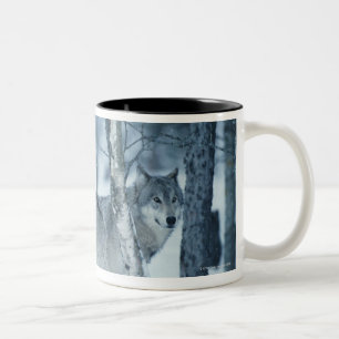 Caneca De Café Em Dois Tons Lobo (lúpus de Canis) durante o inverno