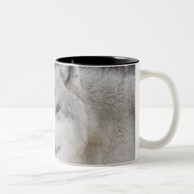 Caneca De Café Em Dois Tons Lobos (lúpus de Canus) de Yellowstone ocidental. (Direita)