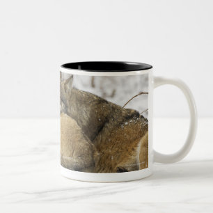Caneca De Café Em Dois Tons Lobos na madeira de Bawarian