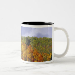 Caneca De Café Em Dois Tons Logan Canyon em Utah no outono com tempestade pass