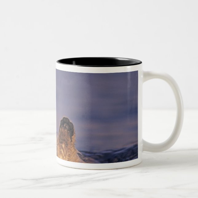 Caneca De Café Em Dois Tons Londras-marinhas, Enhydra lutris 2 (Direita)