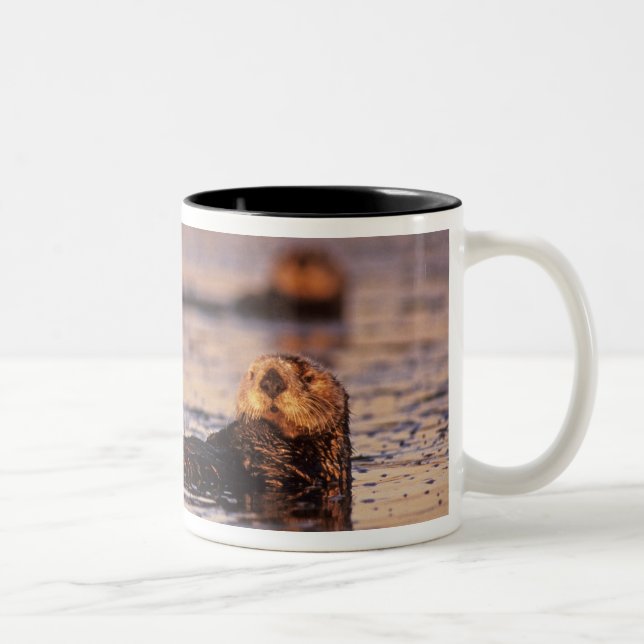 Caneca De Café Em Dois Tons Lontras Marinhas, Enhydra lutris 3 (Direita)