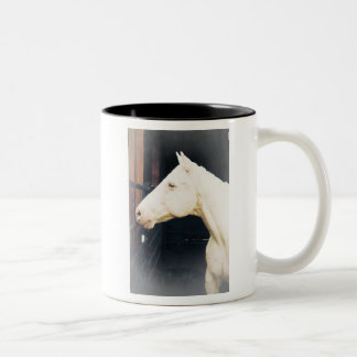 Caneca De Café Em Dois Tons Luta contra o Rocky Fight Mug