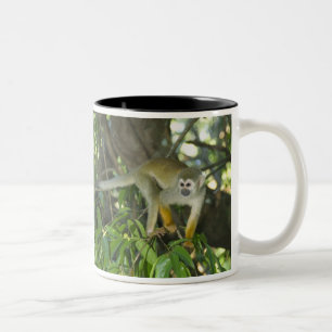 Caneca De Café Em Dois Tons Macaco-de-cheiro-comum, (Saimiri sciureus), Rio