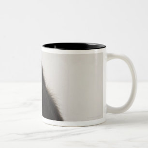 Caneca De Café Em Dois Tons Macaco que cobre seus olhos