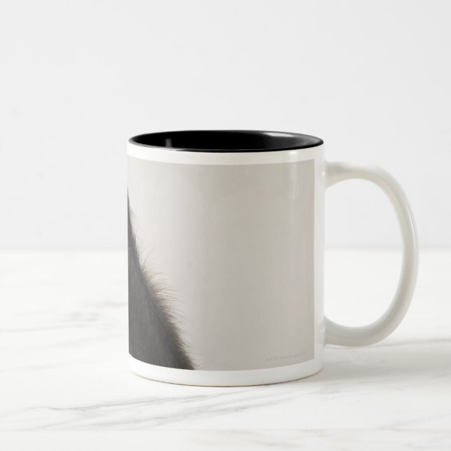 Caneca De Café Em Dois Tons Macaco que cobre seus olhos (Direita)