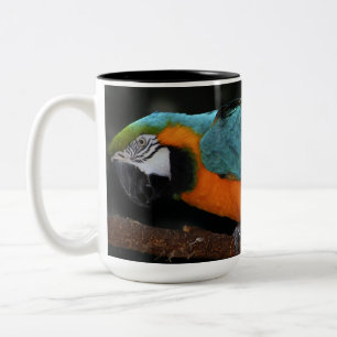 Caneca De Café Em Dois Tons Macaw azul e Dourado bonito
