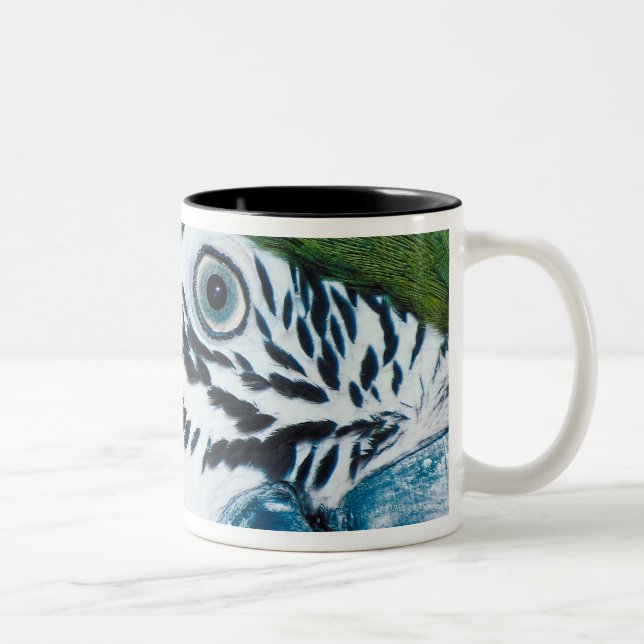 Caneca De Café Em Dois Tons MacawÊ Azul-e-amarelo (Direita)