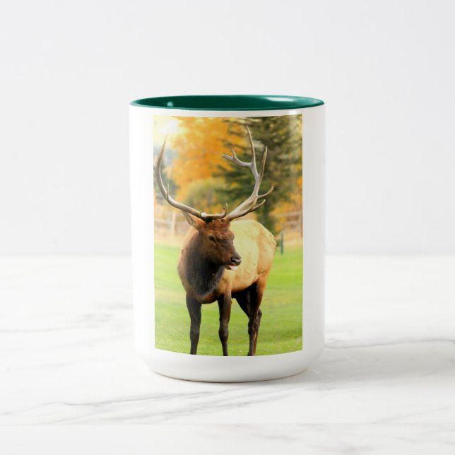 Caneca De Café Em Dois Tons Macho Elk Com Tongue (Centro)
