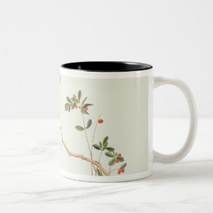 Caneca De Café Em Dois Tons magpies azuis Vermelho-faturados, bagas de um