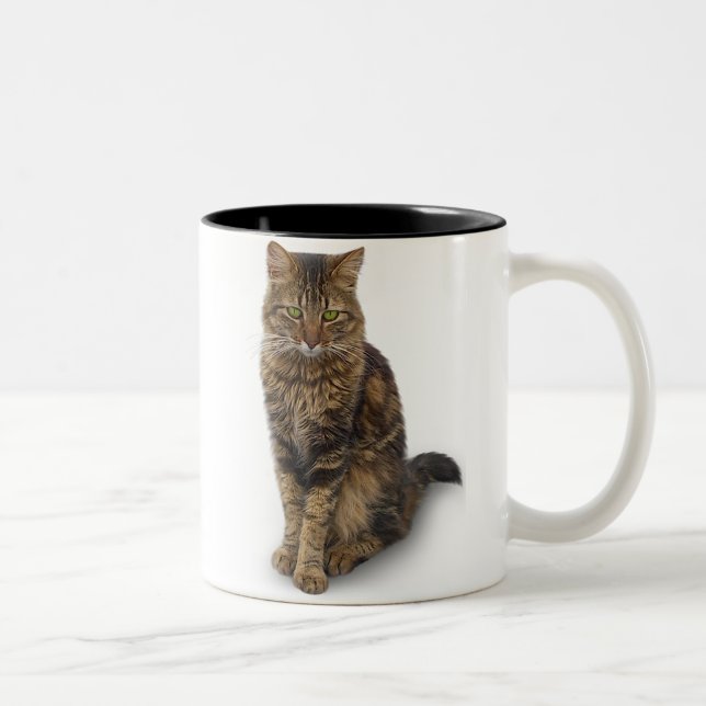 Caneca De Café Em Dois Tons Maine Coon Cat (Direita)