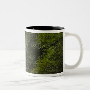 Caneca De Café Em Dois Tons Mapari River, Mapari Rupununi, Guiana.