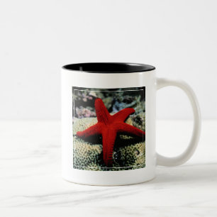 Caneca De Café Em Dois Tons Mar Vermelho dos peixes da estrela