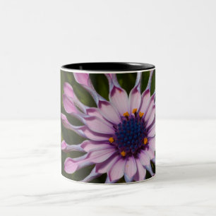 Caneca De Café Em Dois Tons Margarida Africana rosa