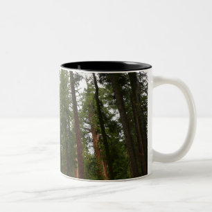 Caneca De Café Em Dois Tons Mariposa Grove no Parque Nacional Yosemite