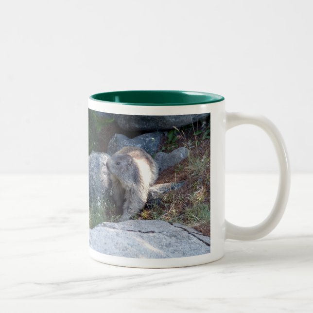 Caneca De Café Em Dois Tons Marmota-branca — caneca-suíça (Direita)
