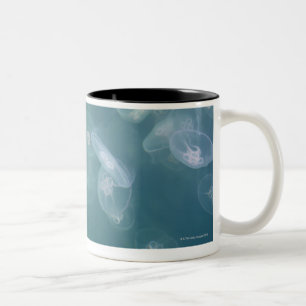 Caneca De Café Em Dois Tons Medusa da lua