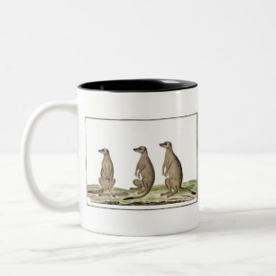 Caneca De Café Em Dois Tons Meerkats Suricata suricatta