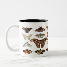 Caneca De Café Em Dois Tons Meses de Cottagecore