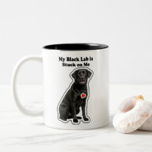 Meu Lab Negro Está Apegado a Mim Amante de Cachorr