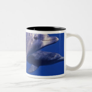 Caneca De Café Em Dois Tons México, Cozumel. Golfinho Estrangulado, Tursiops 2