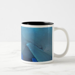 Caneca De Café Em Dois Tons México, Cozumel. Golfinho Nariz-de-Garrafa, Tursio
