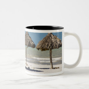 Caneca De Café Em Dois Tons México, Península de Yucatán, Progreso. Palha