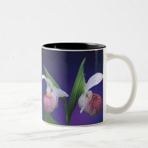 Caneca De Café Em Dois Tons Michigan, Parque Nacional da Península Bruce. Espe
