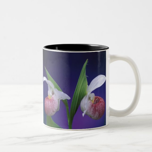 Caneca De Café Em Dois Tons Michigan, Parque Nacional da Península Bruce. Espe (Direita)