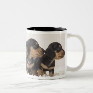 Caneca De Café Em Dois Tons Mini Dachshund quatro