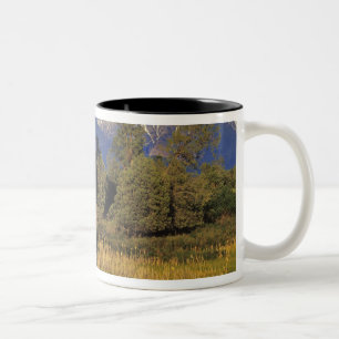 Caneca De Café Em Dois Tons Mission Creek atravessa o National Bison