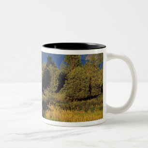 Caneca De Café Em Dois Tons Mission Creek no National Bison Range em