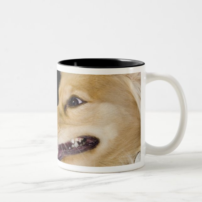Caneca De Café Em Dois Tons mistura de cocker spaniel em sua parte traseira (Direita)