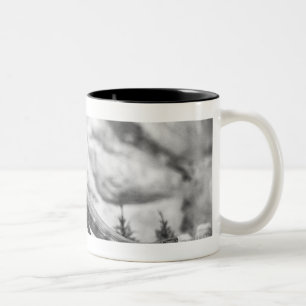 Caneca De Café Em Dois Tons Modelo do rex B&W do tiranossauro