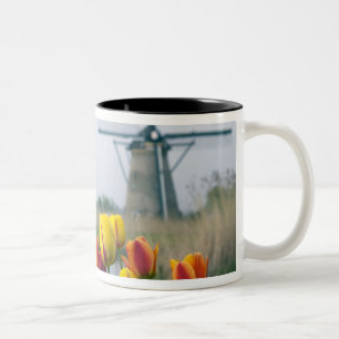 Caneca De Café Em Dois Tons Moinhos de vento e tulipas ao longo do canal em