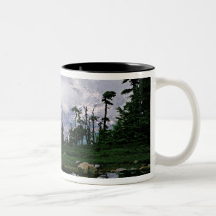 Caneca De Café Em Dois Tons Monte Rainier refletido em um lago de montanha