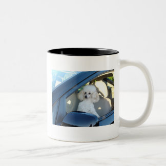 Caneca De Café Em Dois Tons Motorista da caniche