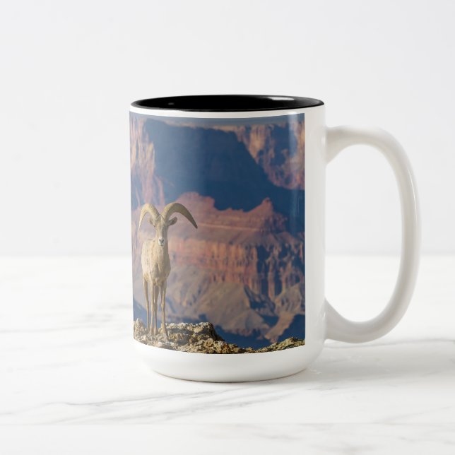 Caneca De Café Em Dois Tons Mug Café de Visão Geral (Direita)