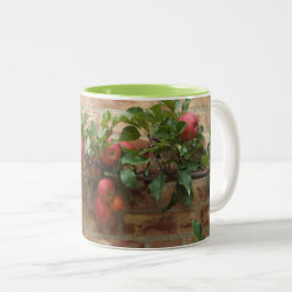 CANECA DE CAFÉ EM DOIS TONS MUG COM MAÇÃS CRESCENDO EM BRICK WALL ESPALIER