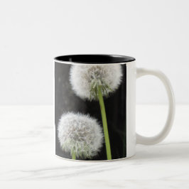 Caneca De Café Em Dois Tons Mug - Dandelions